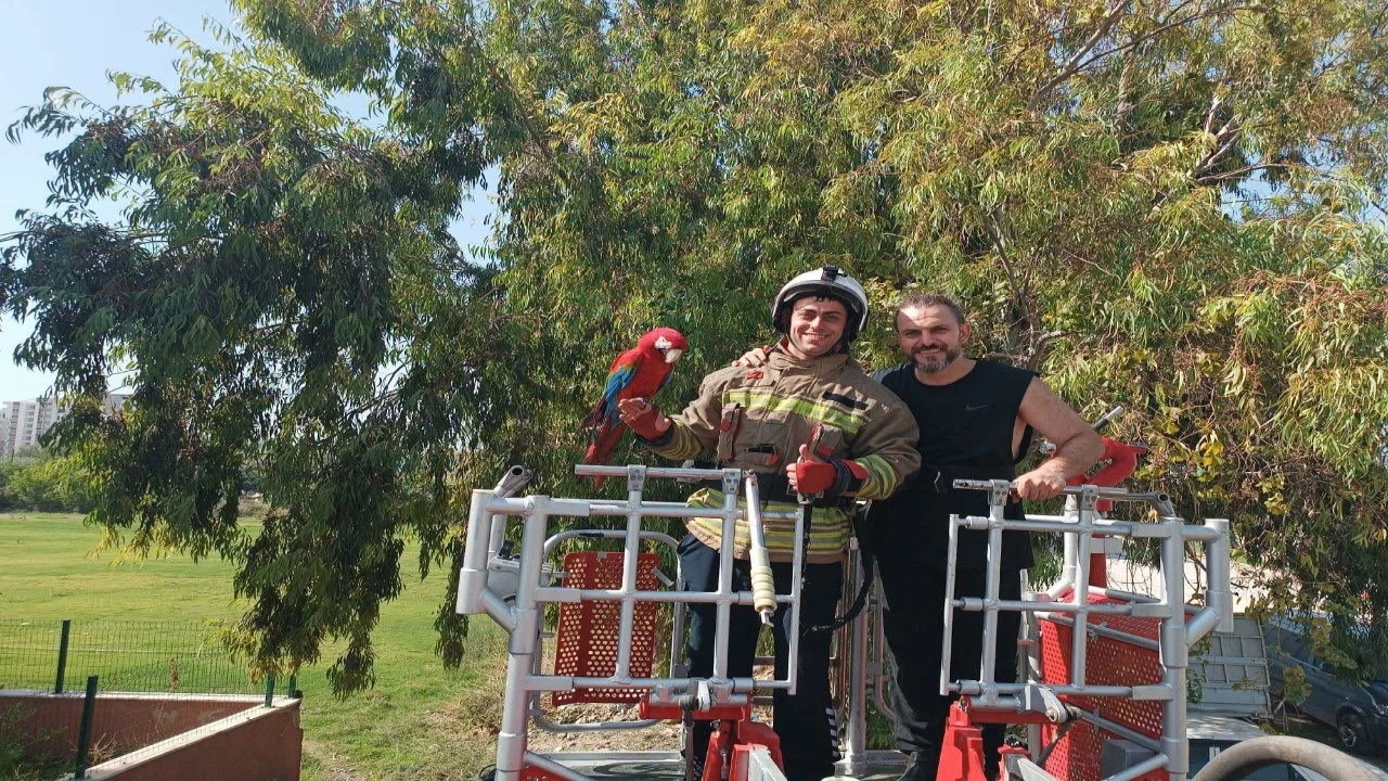 Ağaçta mahsur kalan papağanı itfaiye kurtardı