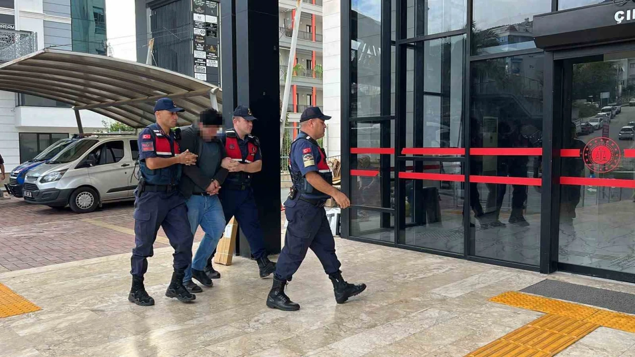 Alanyada kuşlara vahşet uygulayan şüpheli tutuklandı