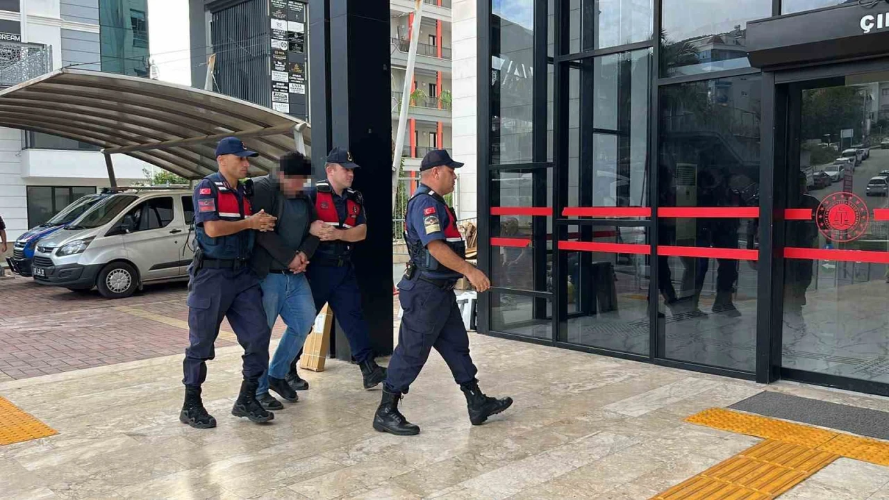 Alanyada kuşlara yönelik vahşet kamerada: Birinin kafasını ağzıyla, diğerinin bıçakla kesti