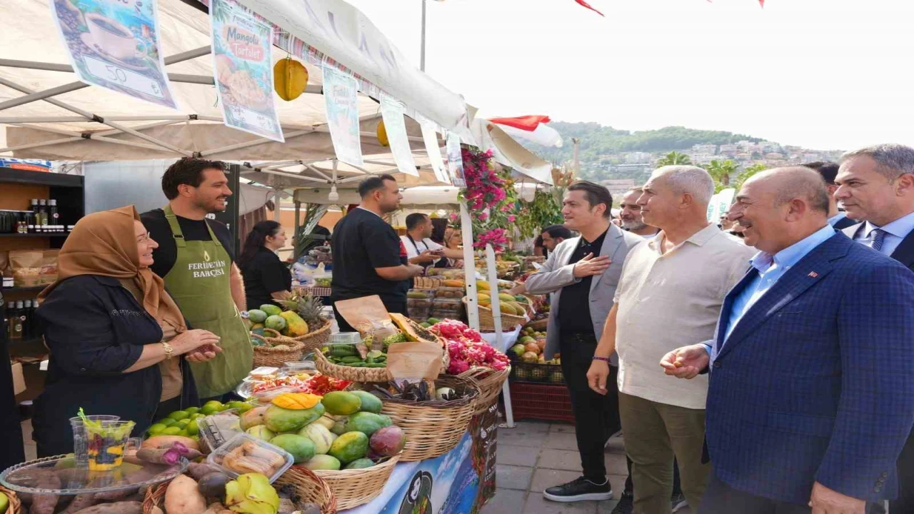 Alanyanın tropikal hikayesi dünyaya açıldı