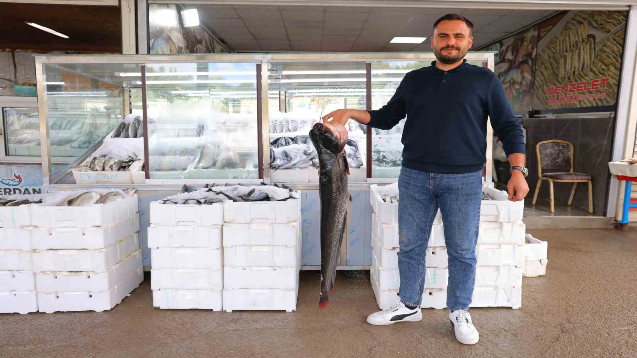 Denize kıyısı olmayan Kahramanmaraşta balık pazarı hareketlendi