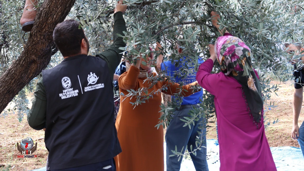 HBB’den zeytin üreticilerine mesleki eğitim desteği