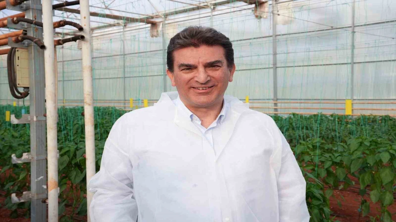 HEKTAŞ, tohum çeşitleri geliştirmeye odaklanıyor