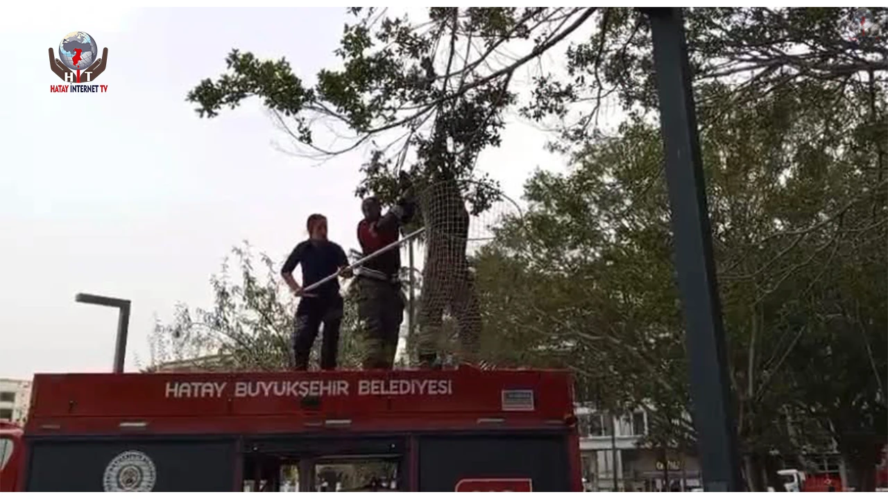 İskenderun'da ağaca takılan güvercin itfaiye ekiplerince kurtarıldı