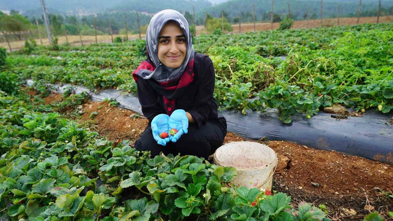 Kadınların emeği Kahraman Kadın Platformuyla geniş kitlelere ulaşıyor