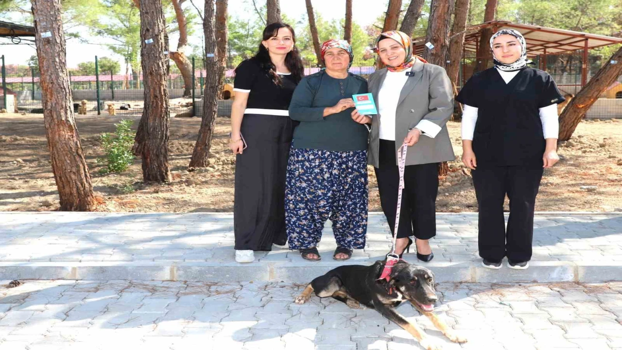 Kopi yangının ardından yeni yuvasına kavuştu