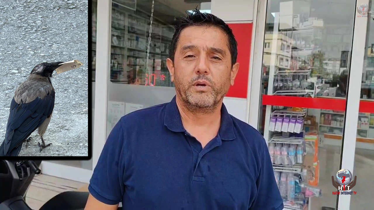 Mahallelinin neşe kaynağı oldu, sırra kadem basmasıyla esnaf ‘kargamızı istiyoruz' çağrısında bulundu