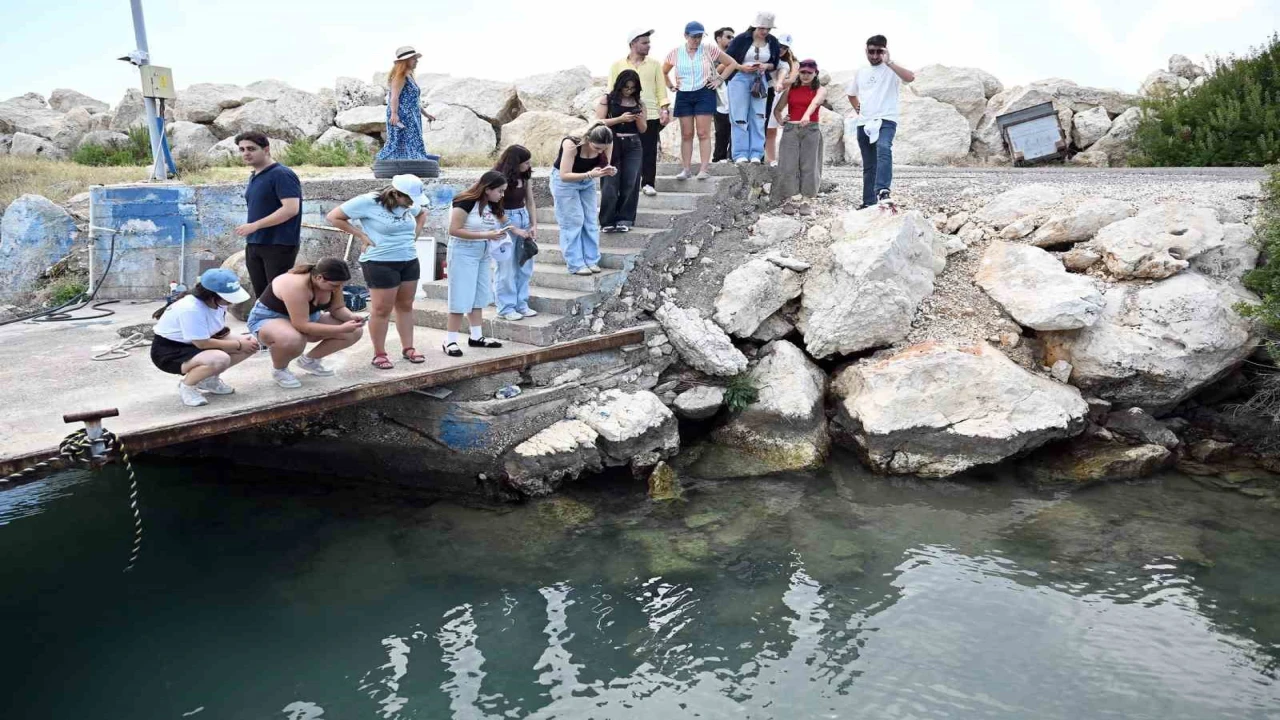 Mersinde biyolojik çeşitlilik MINKA ile kayıt altına alınıyor