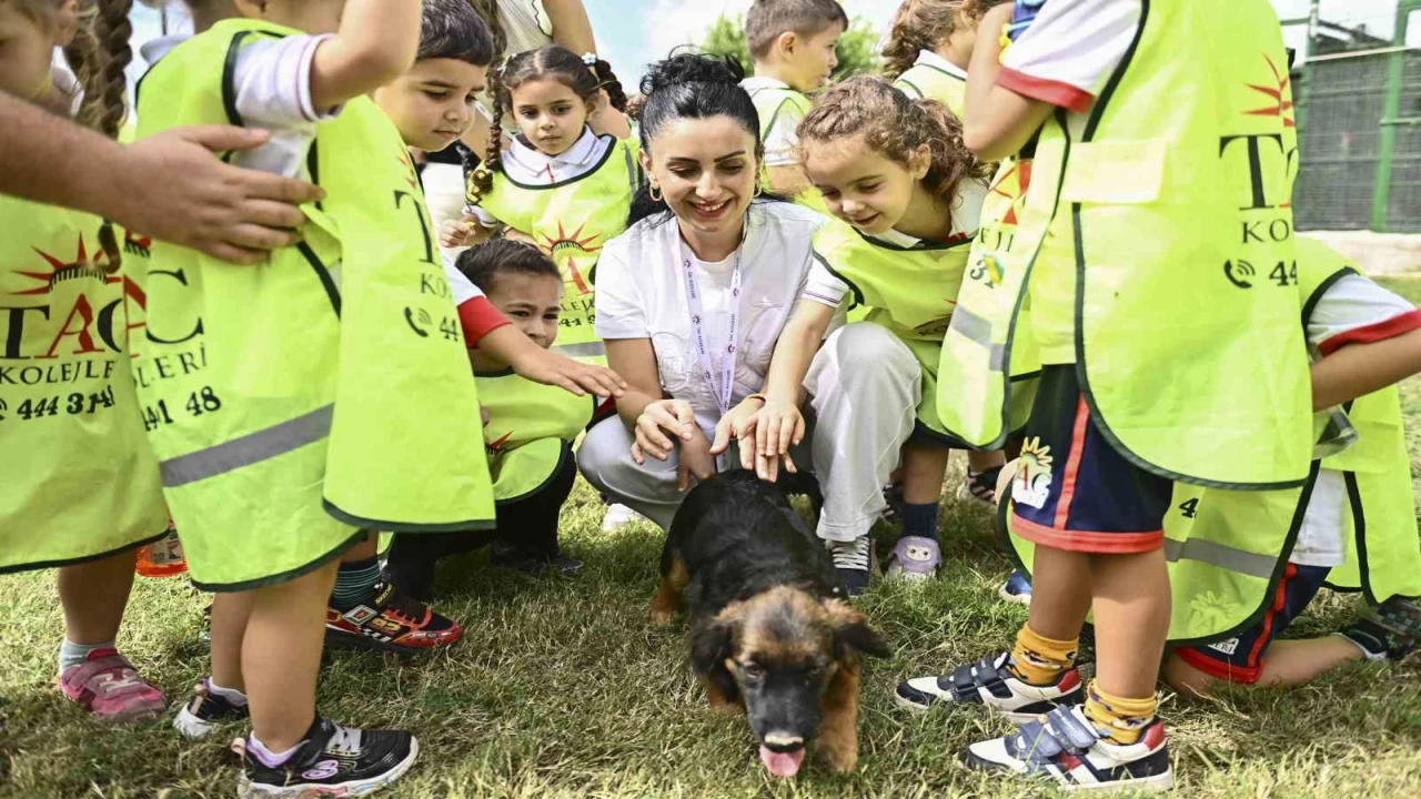 Muratpaşada 2026da 287 sokak hayvanı yeni yuvasına kavuştu