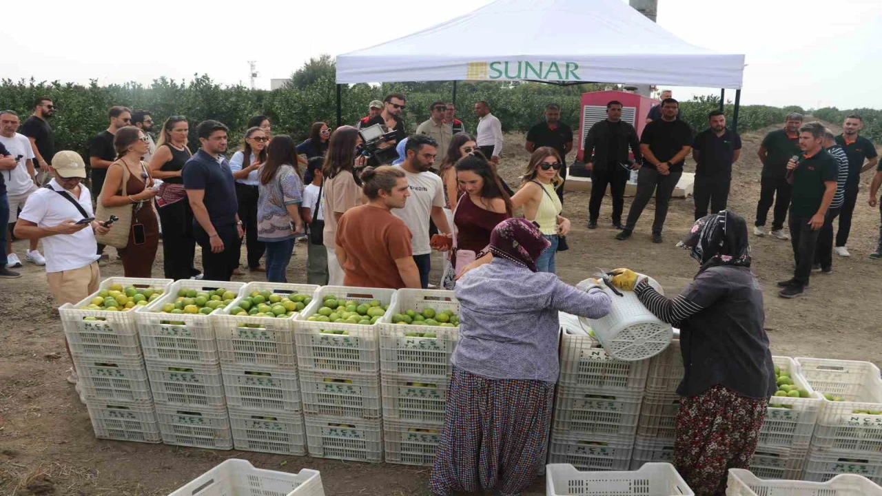 Sunar Yatırımdan Lezzet Festivali kapsamında hasat etkinliği