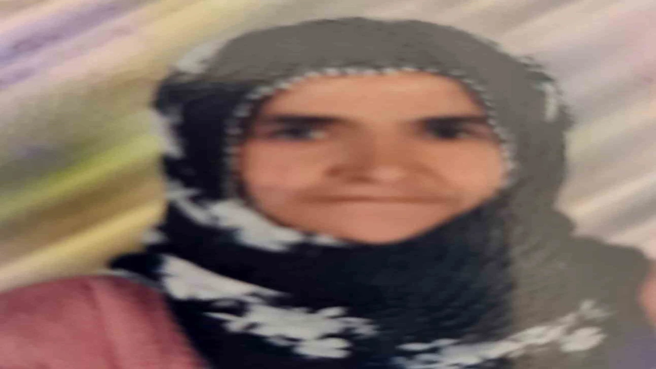 Tarsusta otomobilin çarptığı yaşlı kadın hayatını kaybetti