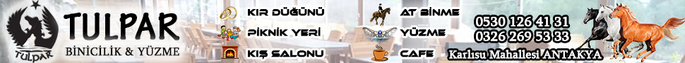 Tulpar