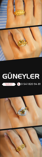 Güneyler