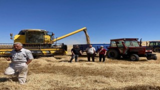 3 ilçede biçerdöver kontrollerine başlandı