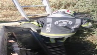 5 metrelik kuyuya düşen yavru tilki kurtarıldı