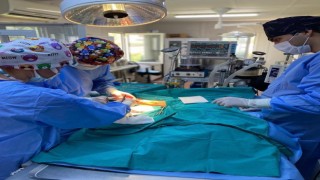 6 ayda 2 bin 170 kedi ve köpek kısırlaştırıldı