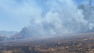 Adanada orman yangını kontrol altına alındı