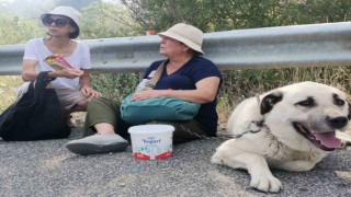 Alevler evinin bahçesine kadar geldi, gözyaşlarına hakim olamadı