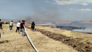 Anız yangını ekili alanlara sıçradı, 20 dönüm alan zarar gördü