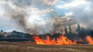 Anız yangını ormana sıçramadan söndürüldü