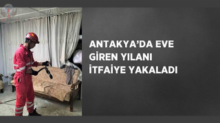 Antakya’da eve giren yılanı itfaiye yakaladı