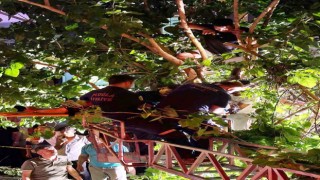 Aracın çarptığı motosiklet sürücüsü 5 metrelik ağaçta asılı kaldı