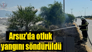 Arsuz'da çıkan ot yangınını itfaiye ekipleri söndürdü