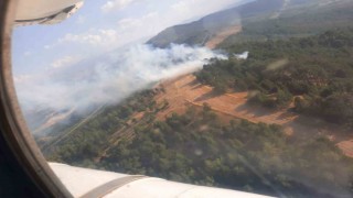 Aydında yıldırım kaynaklı yangınlar söndürüldü