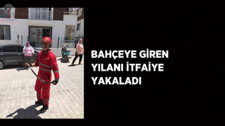 Bahçeye giren yılanı itfaiye yakaladı