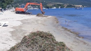 Balıkesir Valiliği deniz çayırlarının sökülmesi olayı ile ilgili soruşturma başlattı