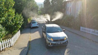 Başiskelede vektörle mücadele başladı