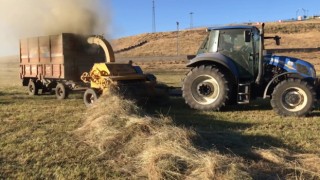 Besicilerin kışa hazırlık mesaisi