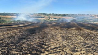 Biçerdöverden sıçrayan kıvılcım yangına yol açtı
