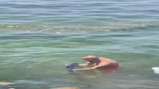 Bursada yunus balığı balıkçıların ağına takıldı