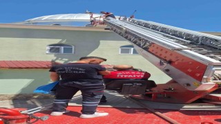 Cami kubbesindeki yuvadan düşen leylek yavrusu kurtarıldı