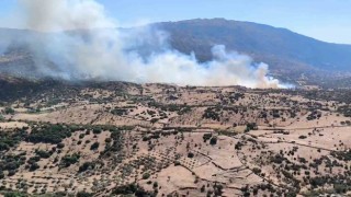 Çinede orman yangını