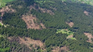 Çorum Valiliğinden ormanlık alanlarla ilgili açıklama