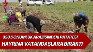 Depremzede çiftçi 350 dönümlük arazisindeki patatesi hayrına vatandaşlara bıraktı