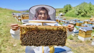 Devlet desteğiyle arıcılığa başlayan kadın girişimci, yıl içinde tonlarca verim alıyor