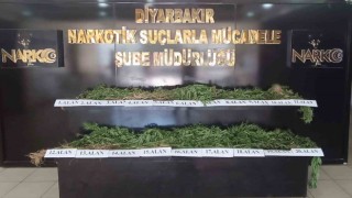 Diyarbakırda dron destekli uyuşturucu operasyonu: 800 kilo esrar türevi ve 3 bin 276 kök kenevir ele geçirildi