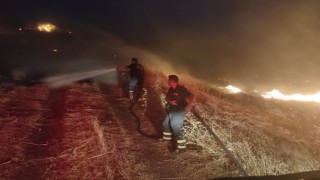 Diyarbakırda orman ve örtü yangını