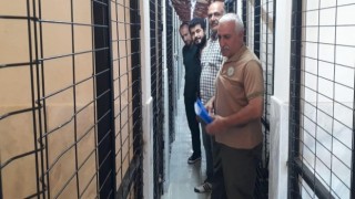 Elazığda Hayvan Bakımevinde denetim