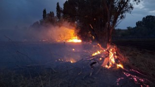 Elektrik tellerinden çıkan kıvılcımlar saman balyaları ve ağaçları kül etti