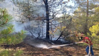 Emetteki orman yangını büyümeden söndürüldü