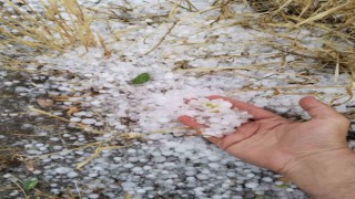 Erzincanın Tercan ilçesinde dolu etkili oldu