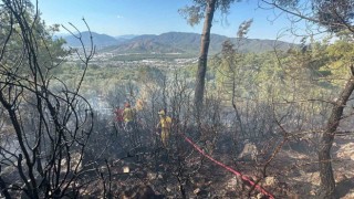Fethiyede zeytinlik alanda çıkan yangın kontrol altına alındı