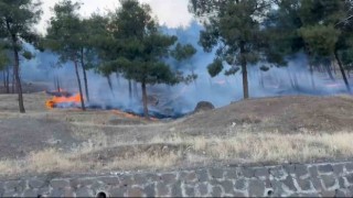 Gaziantepte orman yangını