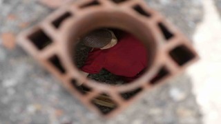 Gümüşhanede deprem tatbikatı ekiplerin hızlı müdahalesiyle başarıyla icra edildi