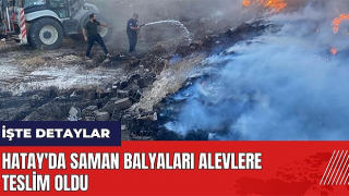 Hassa’da saman balyaları alevlere teslim oldu