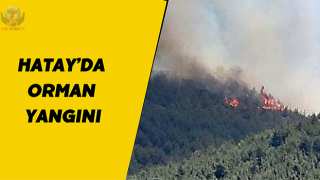 Hatay’da orman yangını